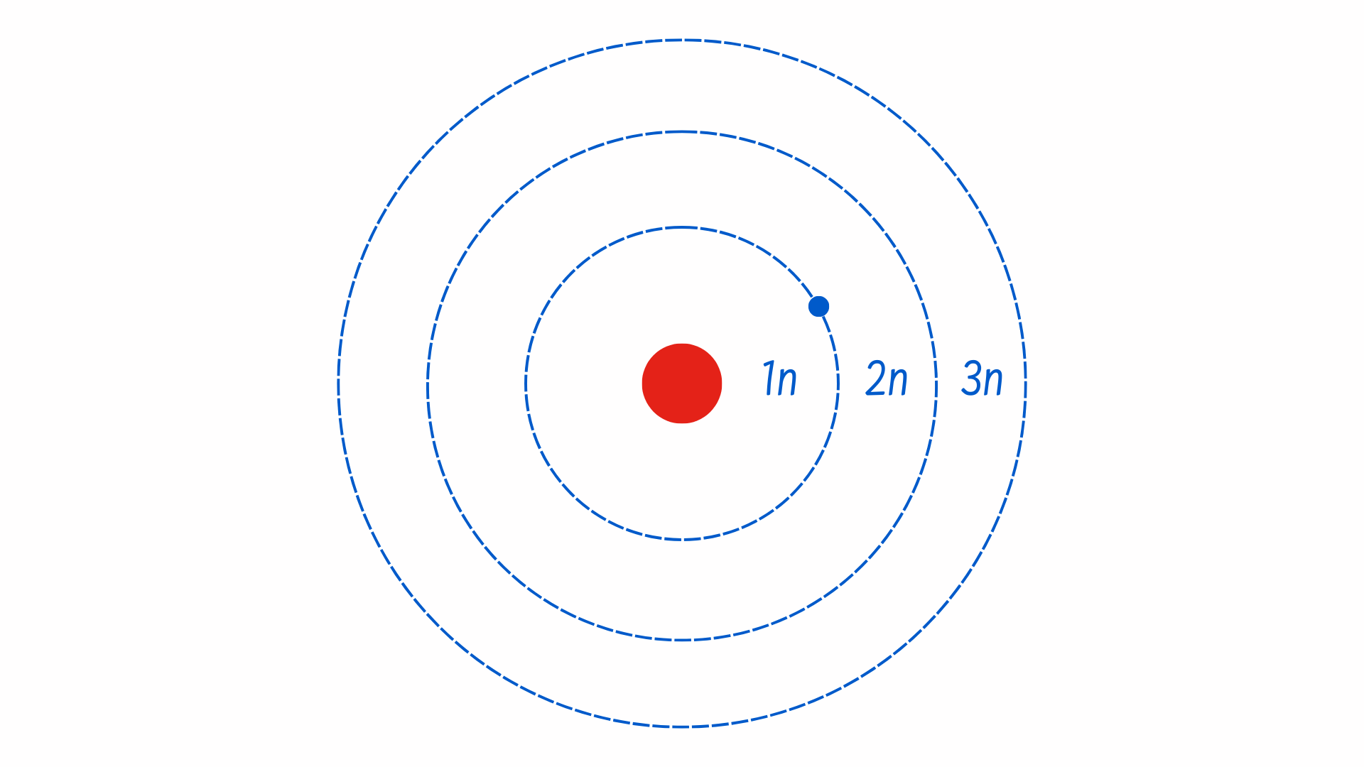 Bohr_model
