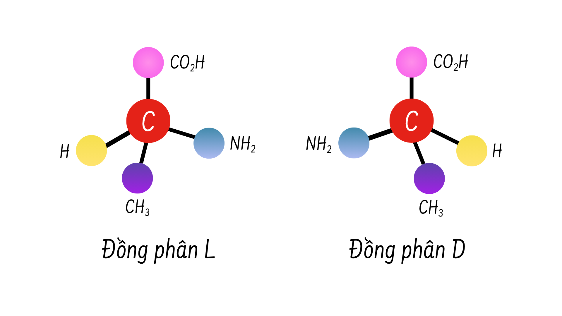 L_D_isomers