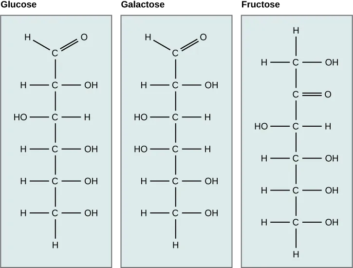 carbonydrate_isomers