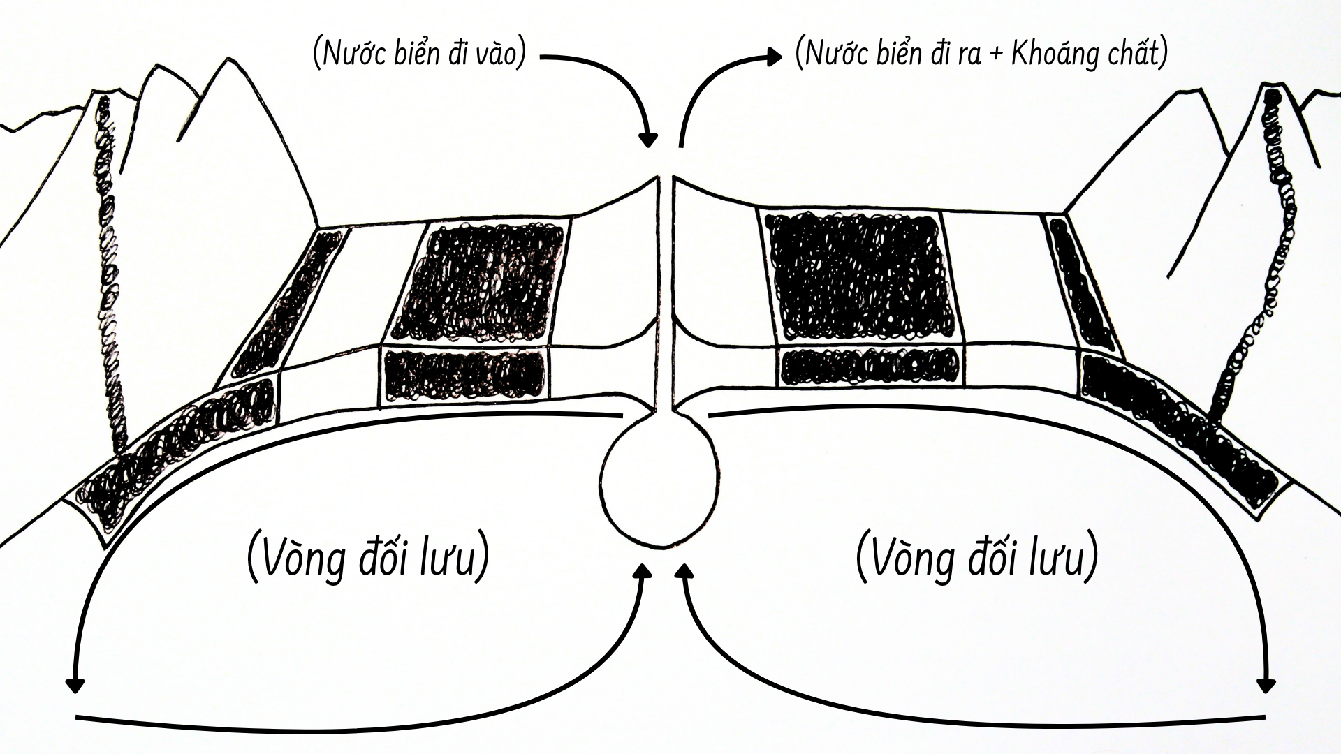 cycle