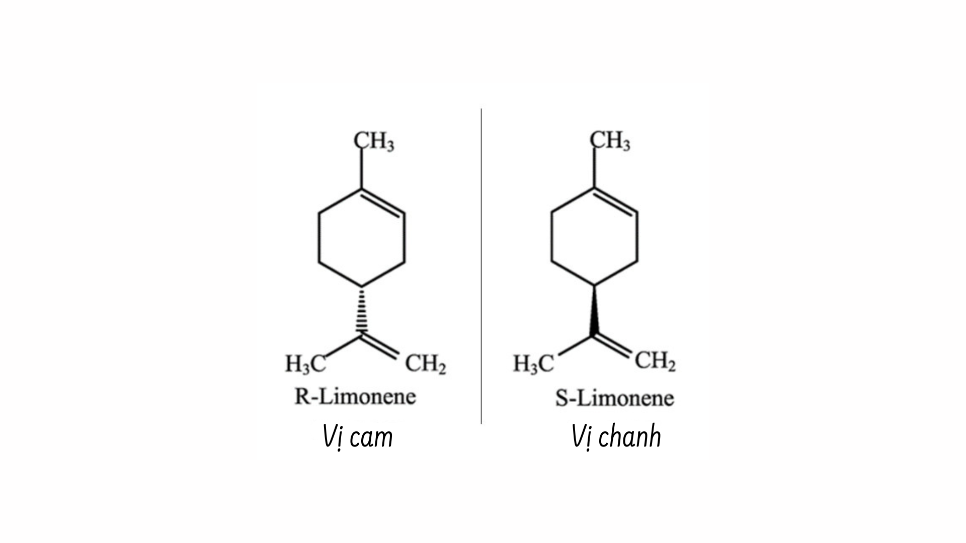 limonene_isomer