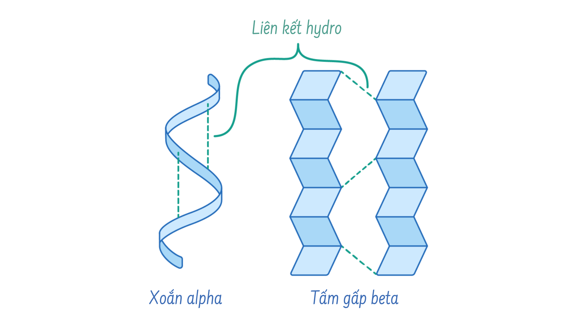 secondary_structure_1